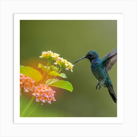 Hummingbird Art Print