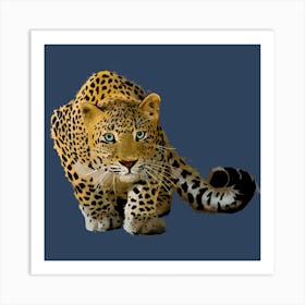 Leopard Stalking Square Art Print