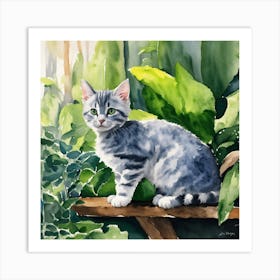 Cat Sitting On A Bench Art Print