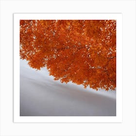 Autumn Leaves Art Print