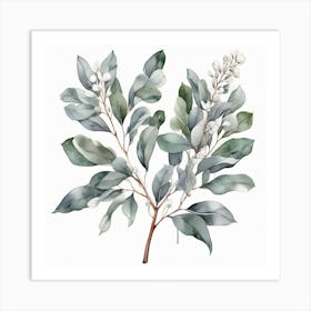 Silver eucalyptus branch 5 Art Print