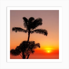 Sunset With Palm Trees Art Print