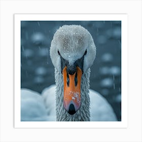 Swan In The Snow Art Print