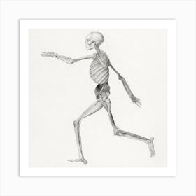 Running Skeleton Art Print