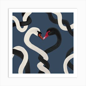 Swan Together Square Art Print