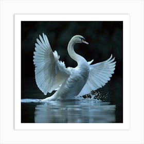 Swan In Flight Art Print