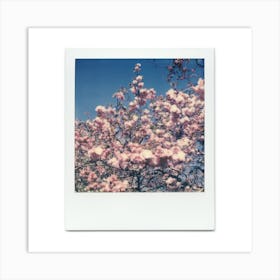 Polaroid Cherry Blossom 06 Art Print