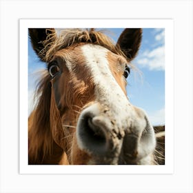 Horse In A Stable 1 Poster