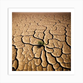 Dry Land 1 Art Print