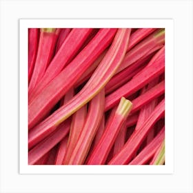 Rhubarb 14 Art Print