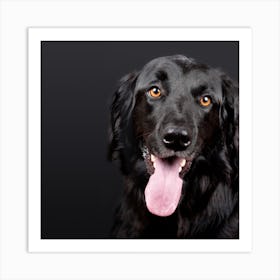 Black Dog With Tongue Out Art Print