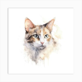 Thai Pointed Cat Portrait Art Print