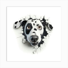 Dalmatian Art Print