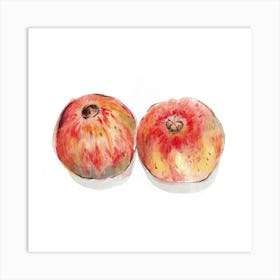 Two Pomegranates Art Print