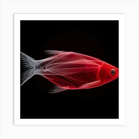 Fish - Fish Stock Videos & Royalty-Free Footage Art Print