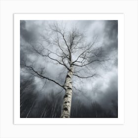 Birch Tree Art Print