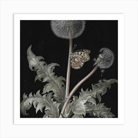 Dandelion And Butterfly Art Print