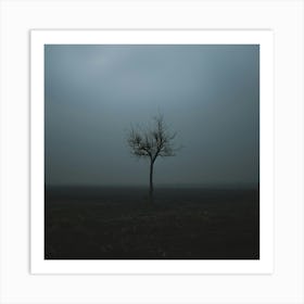 Lone Tree 9 Art Print