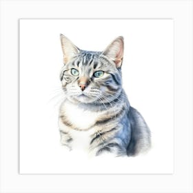 European Shorthair Cat Portrait 2 Art Print