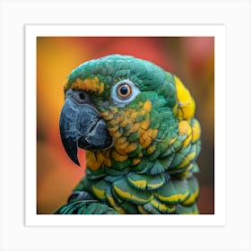 Parrot 17 Art Print