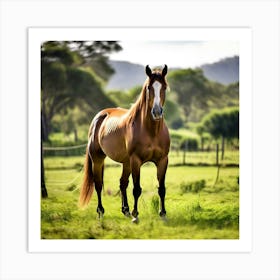 Horse In The Pasture 1 Art Print