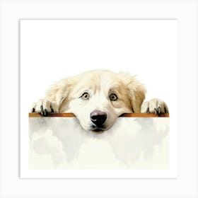 Dog Looking Over A Board Art Print