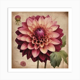 A Dahlia Floral Botanical Vintage 2 Art Print