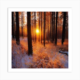 Sunset In The Forest 16 Art Print