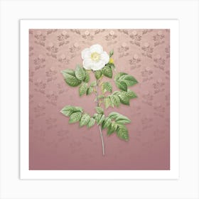 Vintage Leschenault's Rose Botanical on Dusty Pink Pattern n.2552 Art Print