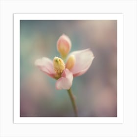 A Close Up Of A Delicate Bird Bud Just Beginning To Bloom, With Soft Petals And Hints Of Vibrant Col (2) Art Print