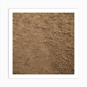 Dirt Background Art Print