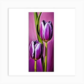 Purple Tulips Art Print