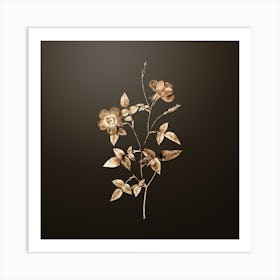 Gold Botanical Indica Stelligera Rose on Chocolate Brown n.4704 Art Print