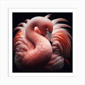 A flamingo Art Print