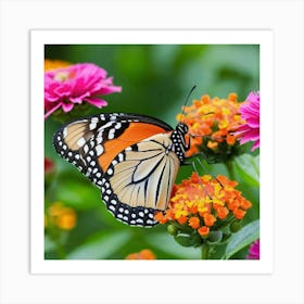 Monarch Butterfly 1 Art Print