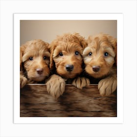 Three Golden Doodle Puppies Art Print