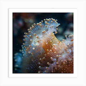 Anemone Art Print