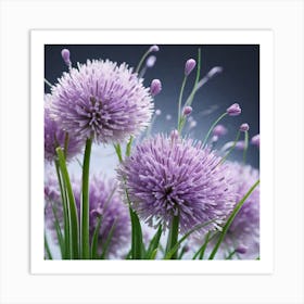 Purple Chives Art Print