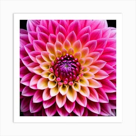 Vibrant pink dahlia flower 4 Art Print