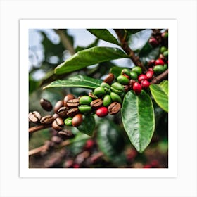 Coffee Beans On A Tree 33 Art Print