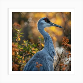 Sandhill Crane Art Print