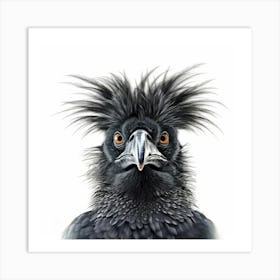 Black Crow Art Print