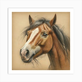 Horse Portrait 3 Art Print