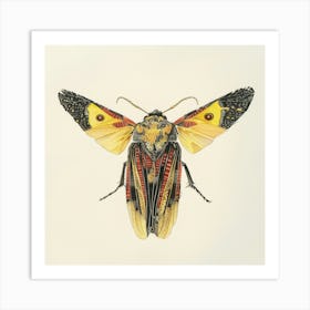 Moth Drawing 1 Art Print