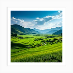 Rice Fields In Vietnam Art Print