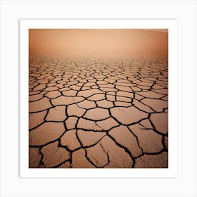 Parched Earth Art Print