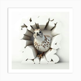 Quail Peeking Through A Hole Art Print