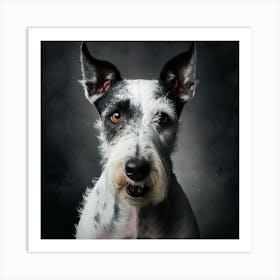 Portrait Of A Schnauzer 3 Art Print