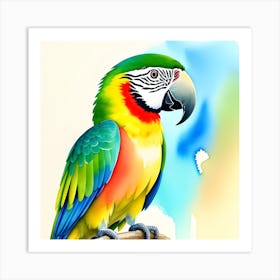 Parrot Art 1 Art Print