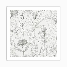 Botanical Illustration Art Print